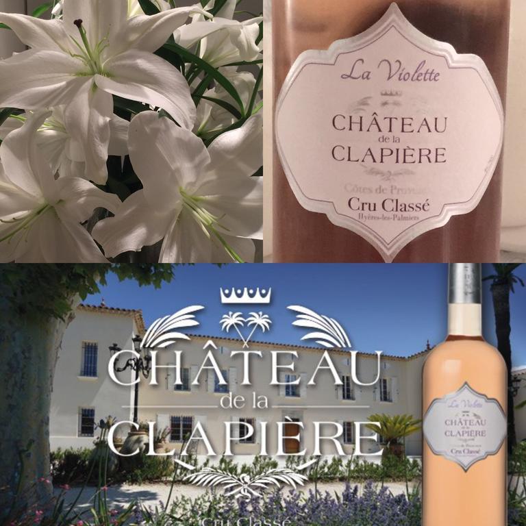 Chateau De La Clapiere Hyères Exterior foto